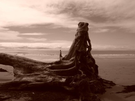 Port Douglas, Australien. Port Douglas, Australien.